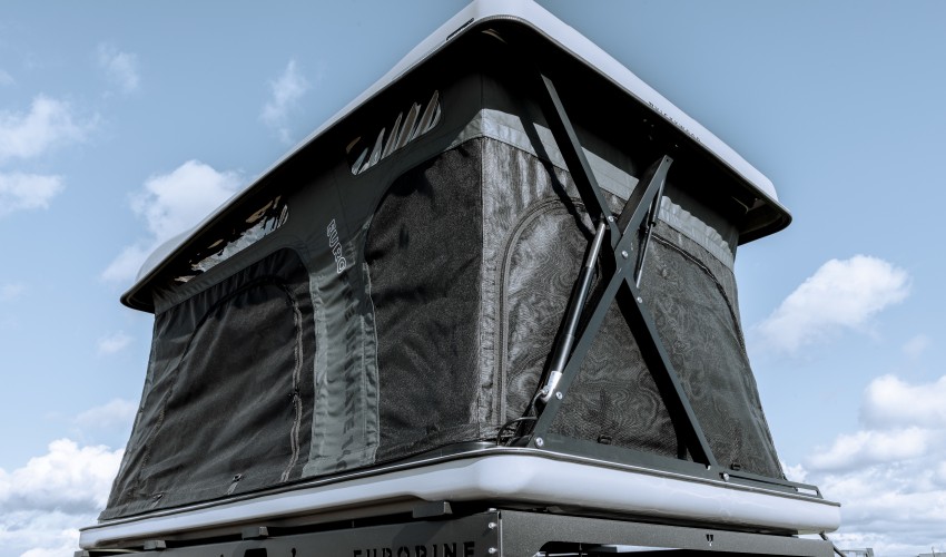 EUROPINE-Ultimate-Gallery2-VICKYWOOD-2